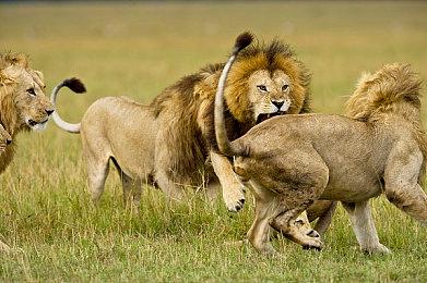 《原子之心》全新截图公布 展示视觉效果