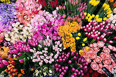 恋爱模拟新游《梅时露霁书雨潺海汐间》登陆Steam 支持中文